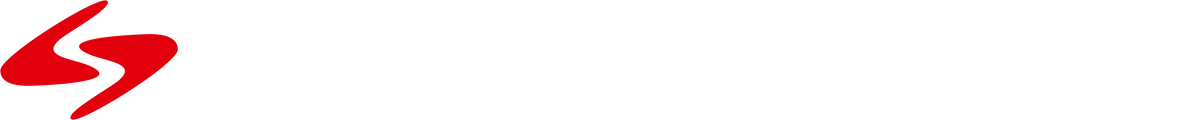 Schnelle Schwaben Logo